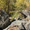 The Grizzly Creek Trail appears to end here, follow the cairns over the boulders to the creek crossing