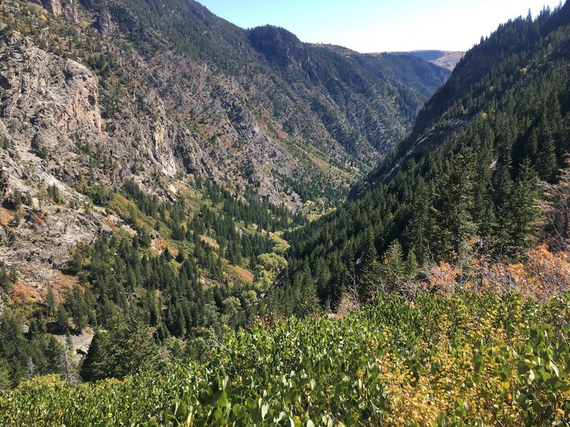 Near the pass from Grizzly Creek to No Name Trail