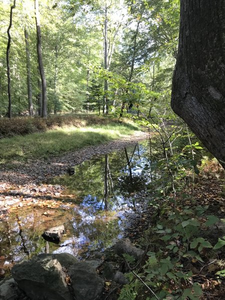 The trail follows the Quantico Creek