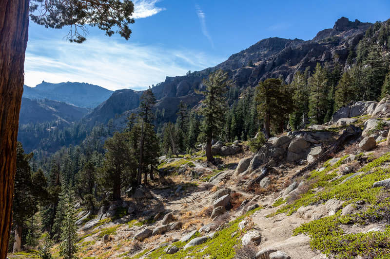 Looking towards Tryon Peak from Pacific Crest Trail