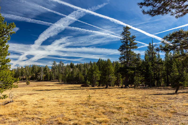 Condensation trails above Lower Gardner Meadown