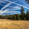 Condensation trails above Lower Gardner Meadown