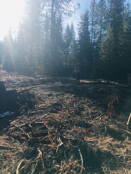 Blue Creek trail destroyed