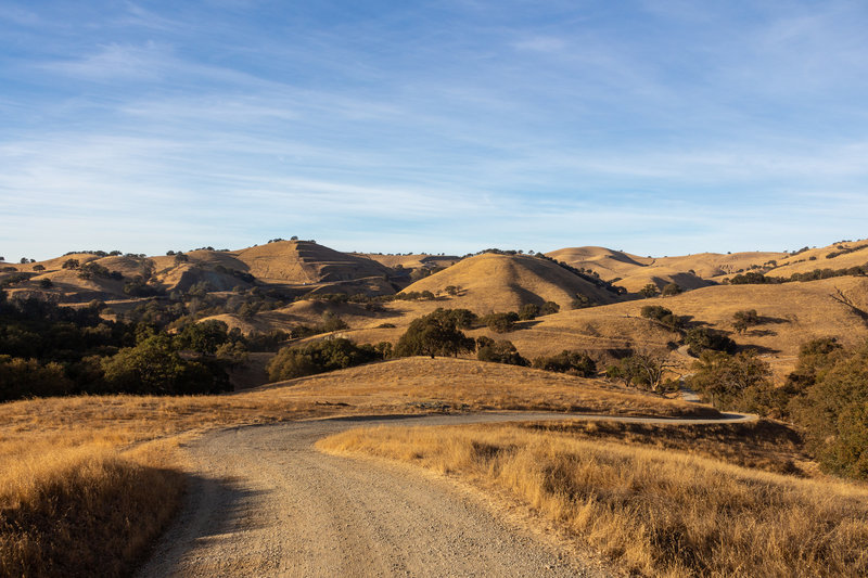 Sunset over Del Valle Regional Park