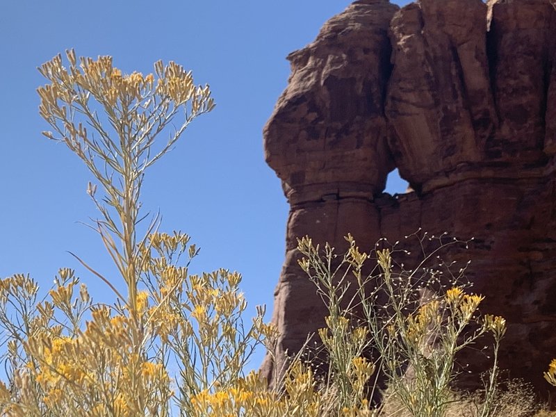 One of the four arches I saw on the run.