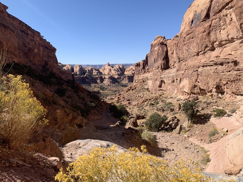 The Pritchett Canyon portion of the trail... a few jeeps in the beginning but then not a soul for miles and miles.