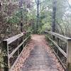 Bridge on Buzzard Point Loop Trail