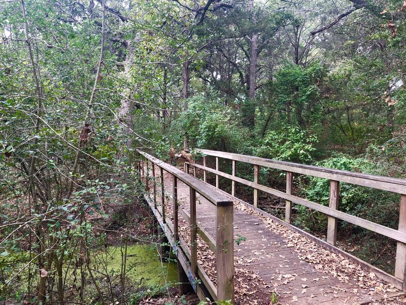 Bridge on the North South Trail