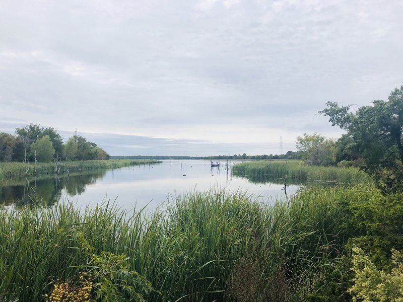 View of Lake Bastrop on the North South Trail