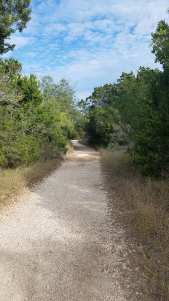 Beginning of Joe Johnston Trail