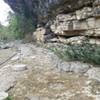 Dino tracks, covered mostly in mud and moss. Probably wrong time of year to go. Dry summer days is probably best.