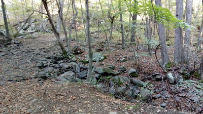 Mathews Arm trail (left) crossing over headwaters of Overall Run (during dry season)
