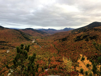 Frankenstein Outlook