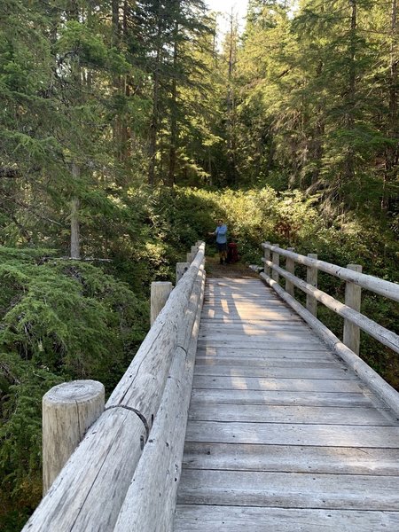 Crossing the Dosewallips. It's a long way down.