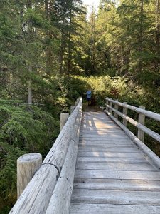 Crossing the Dosewallips. It's a long way down.