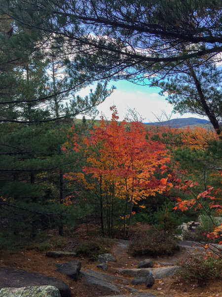 Descending Parkman Mountain Trail.