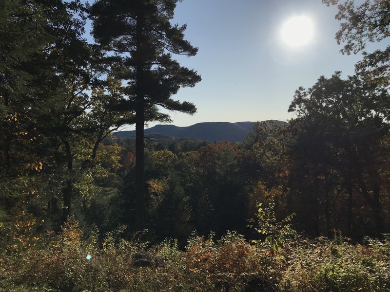 The view from Laurel Hill.