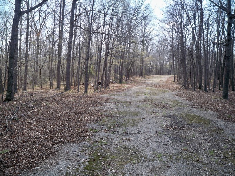 Abandon campground April 2014