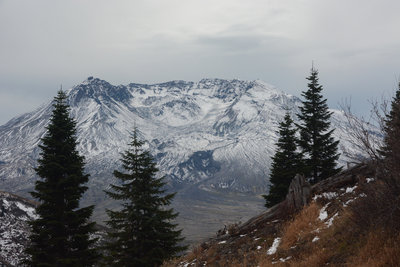 Mount Saint Helens from partway up Coldwater Peak