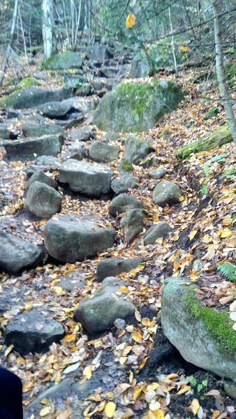 Stairs on the way up Mount Ampersand