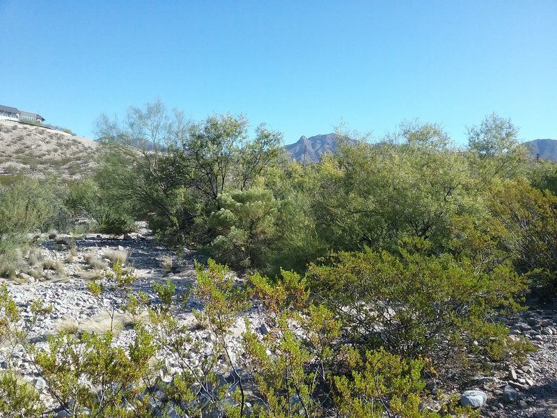 Looking east from the trail