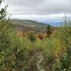 View from Reed Road Trail