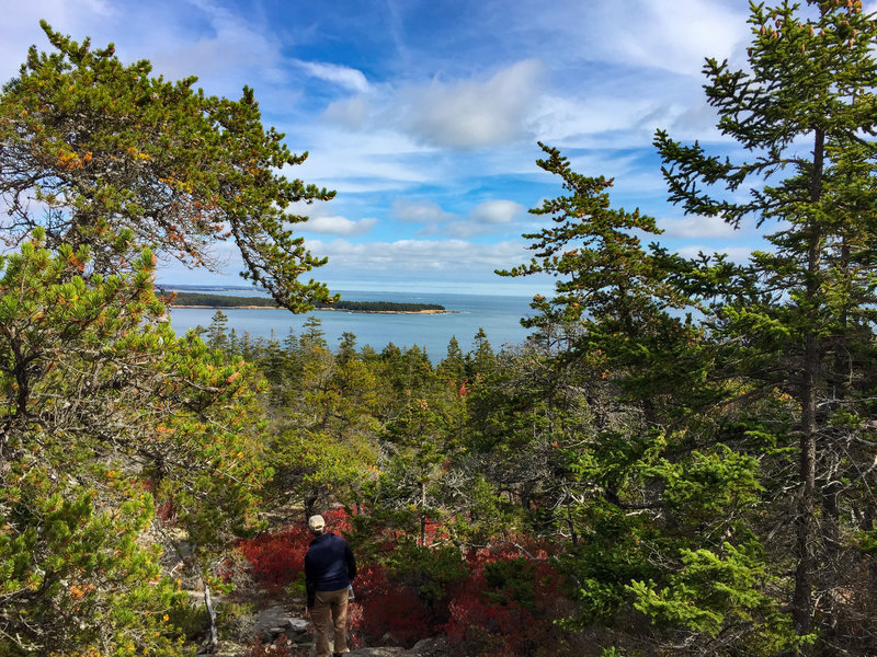 View descending East Trail