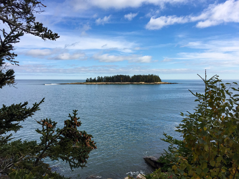 View at base of East Trail