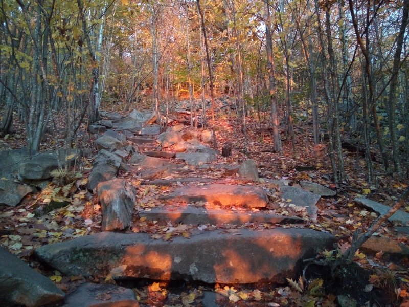 10/19/2019 @7:05am. Pine Hill trail during the sunrise.