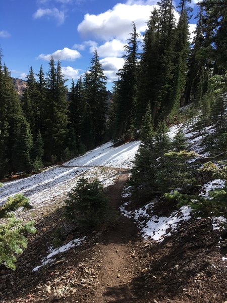 Early fall snow