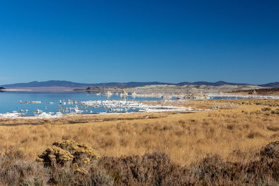 The white salt shore of Mono Lake.