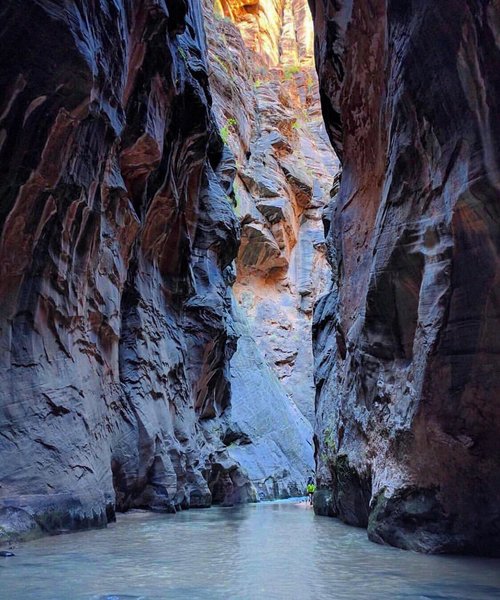 The Narrows - Zion National Park