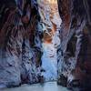 The Narrows - Zion National Park