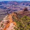 South Kaibab to Cedar Ridge.