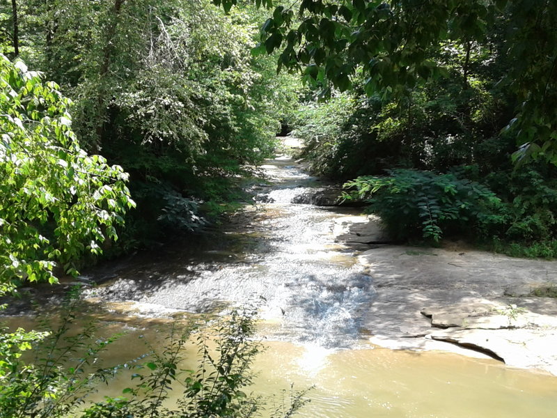 Small creek running into the main creek.