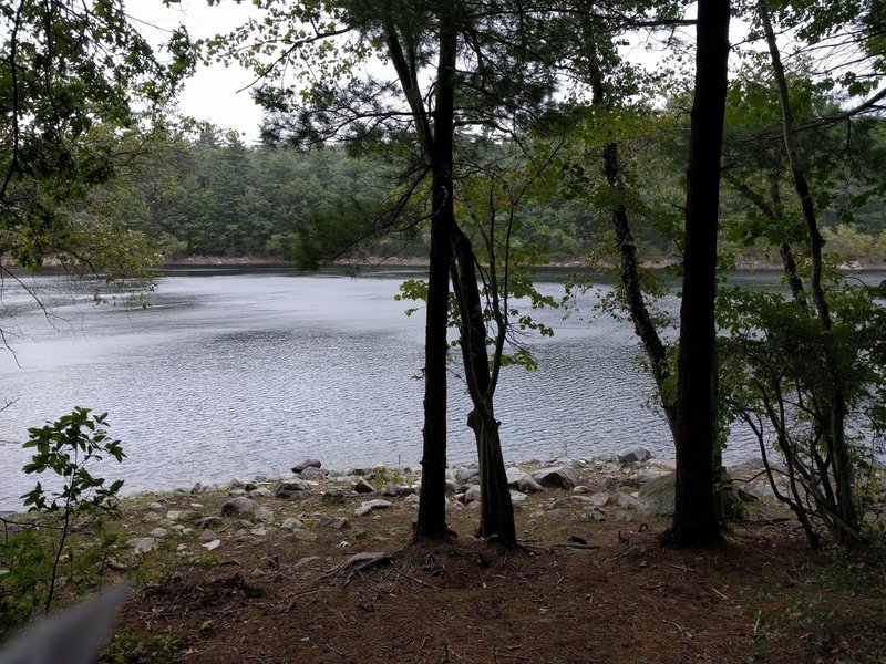 View of Walden Pond from Around The World trail.