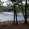 View of Walden Pond from Around The World trail.