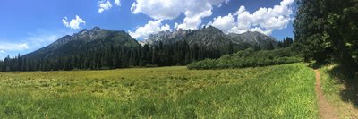 Morris Meadow in the summer