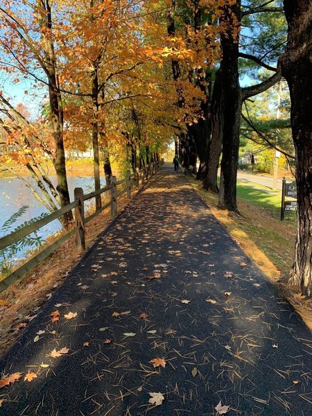 Paved path as it parallels Pleasantville Road