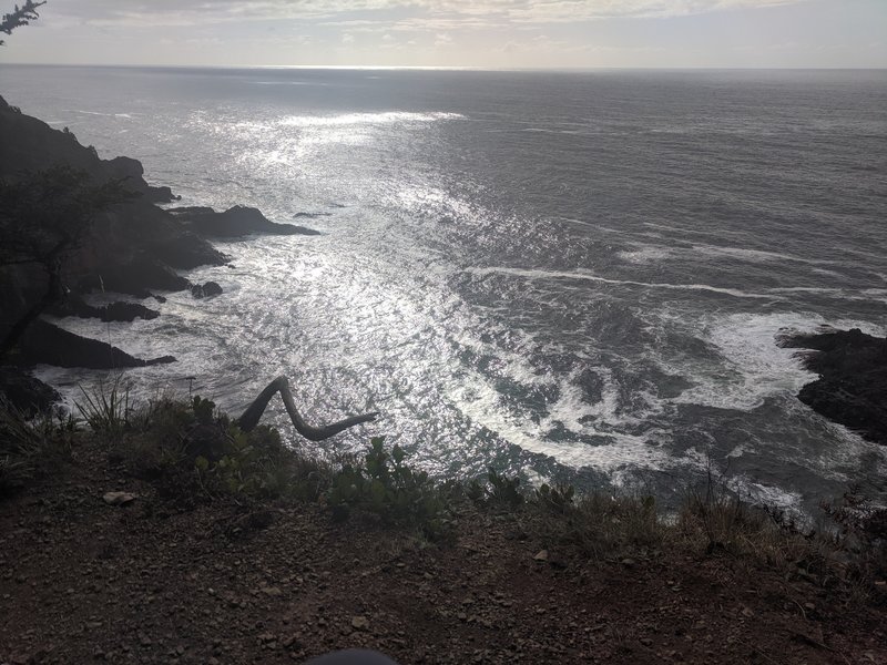 Overlook of Cape Falcon