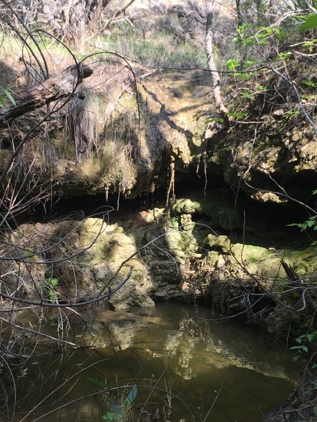 Cool looking pond with water dripping on the trail