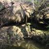 Cool looking pond with water dripping on the trail