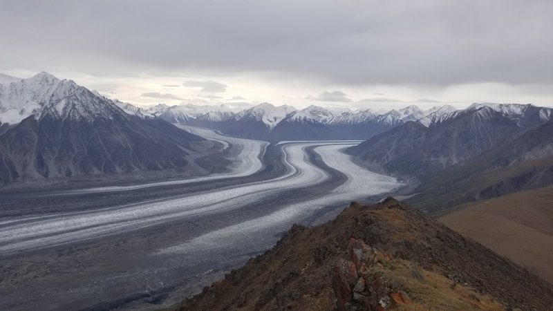 View of Kaskawulsh Glacier from the summit of Observation Mountain.