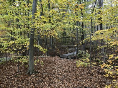 Reservoir Trail, Ramapo Reservation