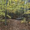 Reservoir Trail, Ramapo Reservation