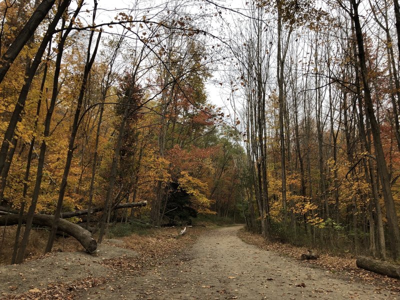 Pond Loop, Ramapo Reservation