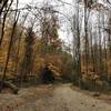 Pond Loop, Ramapo Reservation