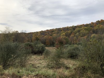 View from Pond Loop, Ramapo Reservation