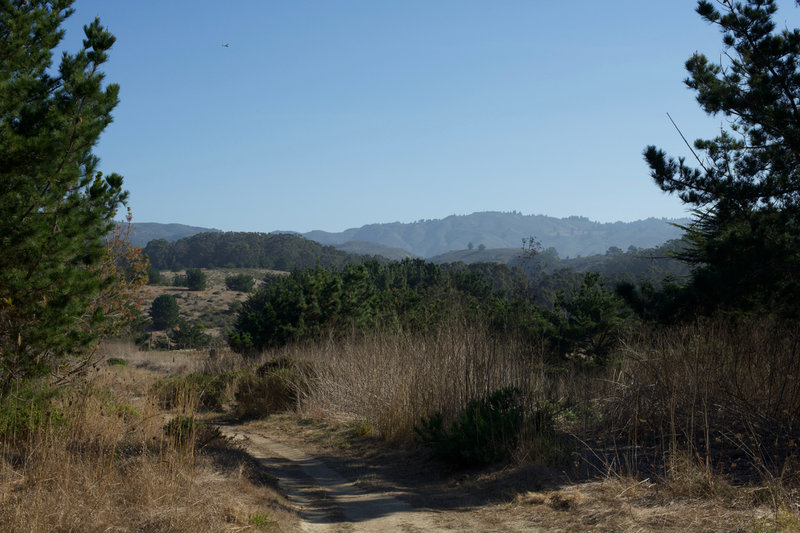 The trail winds through the foothills and climbs above Moss Beach.