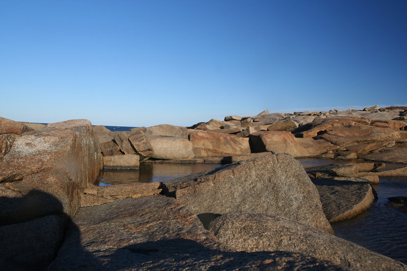 The Rocky Shore